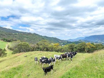 Hacienda en Venta en Tarqui, Cuenca, Azuay - 64,8 Hectareas - Hacienda Ganadera