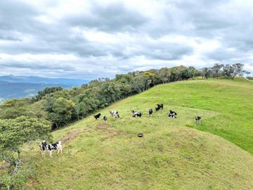 Hacienda en Venta en Tarqui, Cuenca, Azuay - 64,8 Hectareas - Hacienda Ganadera