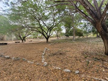 Rancho en Venta en Kinchil Yucatán