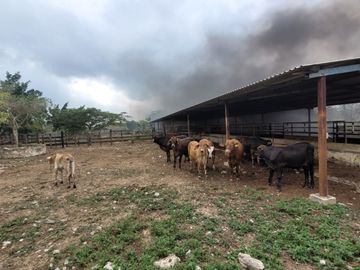 Rancho en Venta en Kinchil Yucatán