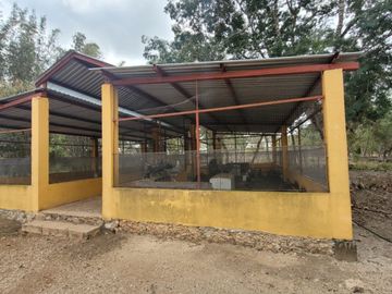 Rancho en Venta en Kinchil Yucatán