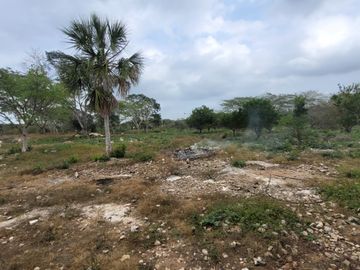 Rancho en Venta en Kinchil Yucatán