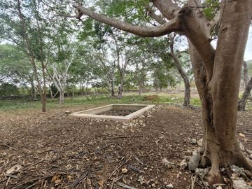 Rancho en Venta en Kinchil Yucatán