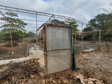 Rancho en Venta en Kinchil Yucatán