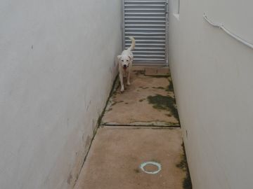 Venta de Residencia en Dzitya