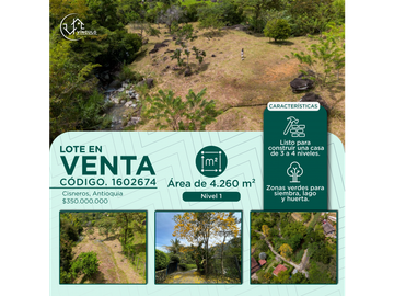LOTE EN VENTA EN CISNEROS
