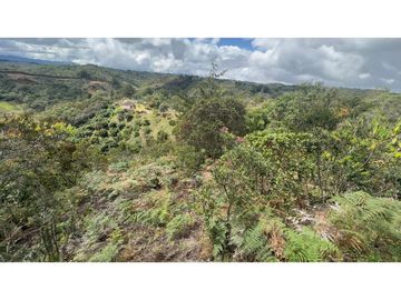CASA FINCA EN VENTA SAN VICENTE