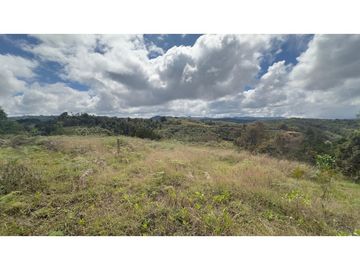 CASA FINCA EN VENTA SAN VICENTE