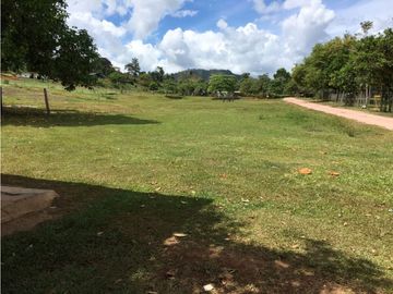 COCLE / PENONOME / FINCA GANADERA 146 HECTAREAS / RIOS / QUEBRADAS