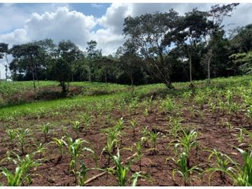 VENTA TERRENO CHORRERA - SANTA RITA