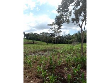 VENTA TERRENO CHORRERA - SANTA RITA