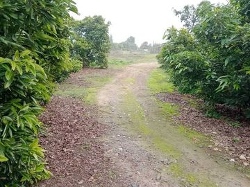 Parcela en venta en LA CRUZ