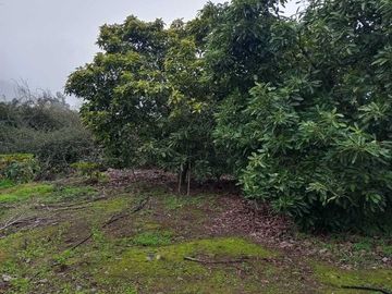 Parcela en venta en LA CRUZ
