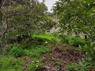 Parcela en venta en LA CRUZ