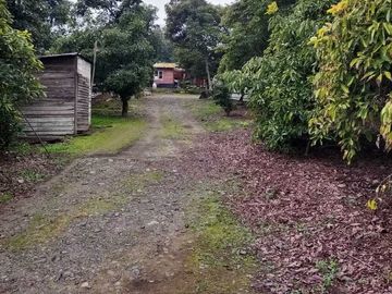 Parcela en venta en LA CRUZ