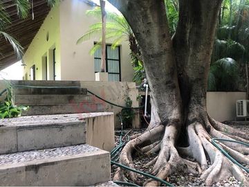Se vende Finca en Tehuixtla Morelos.- Conoce la naturaleza de Morelos.-