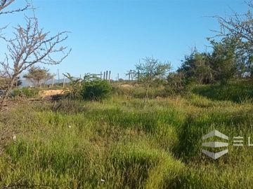 Parcela En Venta En Villa Alemana
