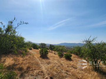 Parcela En Venta En Villa Alemana