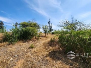 Parcela En Venta En Villa Alemana