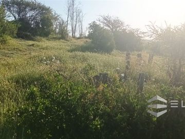 Parcela En Venta En Villa Alemana