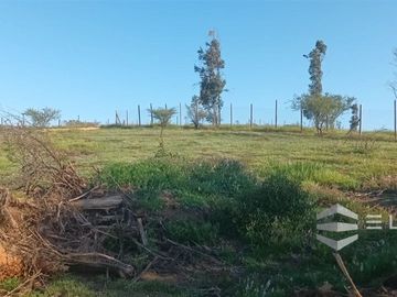 Parcela En Venta En Villa Alemana