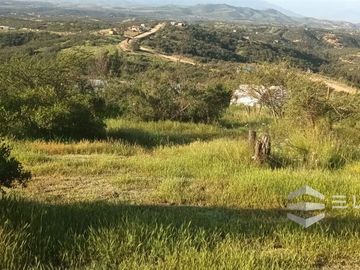 Parcela En Venta En Villa Alemana