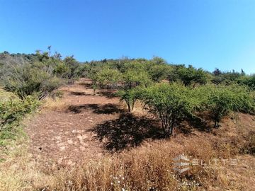 Parcela En Venta En Quilpué