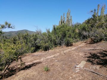 Parcela En Venta En Quilpué