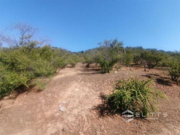 Parcela En Venta En Quilpué