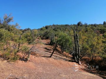 Parcela En Venta En Quilpué