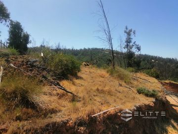 Parcela En Venta En Villa Alemana