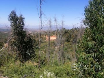 Parcela En Venta En Villa Alemana