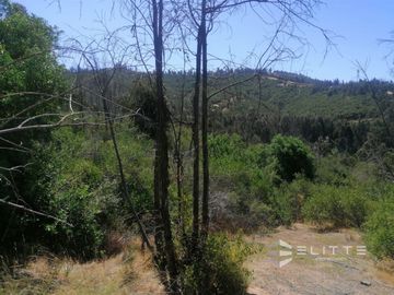 Parcela En Venta En Villa Alemana