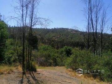Parcela En Venta En Villa Alemana