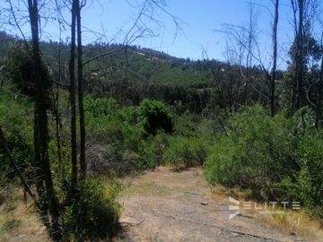 Parcela En Venta En Villa Alemana