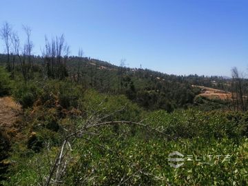 Parcela En Venta En Villa Alemana