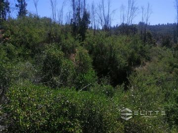 Parcela En Venta En Villa Alemana