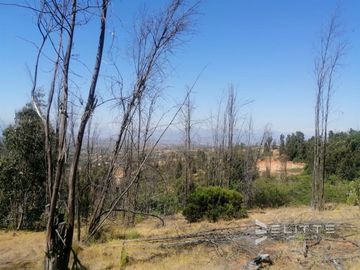 Parcela En Venta En Villa Alemana