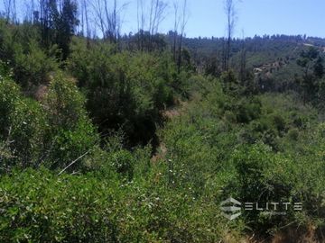 Parcela En Venta En Villa Alemana