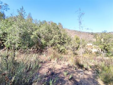 Parcela En Venta En Olmué