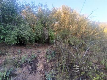 Parcela En Venta En Olmué