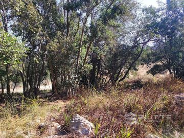 Parcela En Venta En Olmué