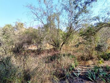 Parcela En Venta En Olmué
