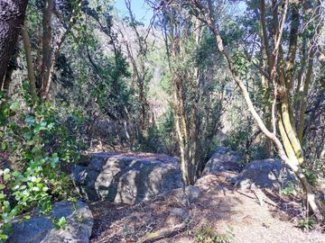 Parcela En Venta En Olmué