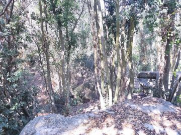 Parcela En Venta En Olmué
