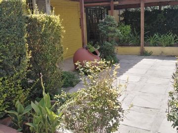 ZAPADORES CON VIVACETA