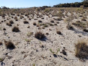 Sitio en Venta en Camino a Puerto Aldea