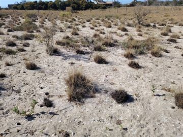 Sitio en Venta en Camino a Puerto Aldea
