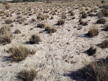 Sitio en Venta en Camino a Puerto Aldea