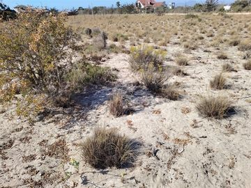 Terreno Construccion en Venta en Camino a Puerto Aldea